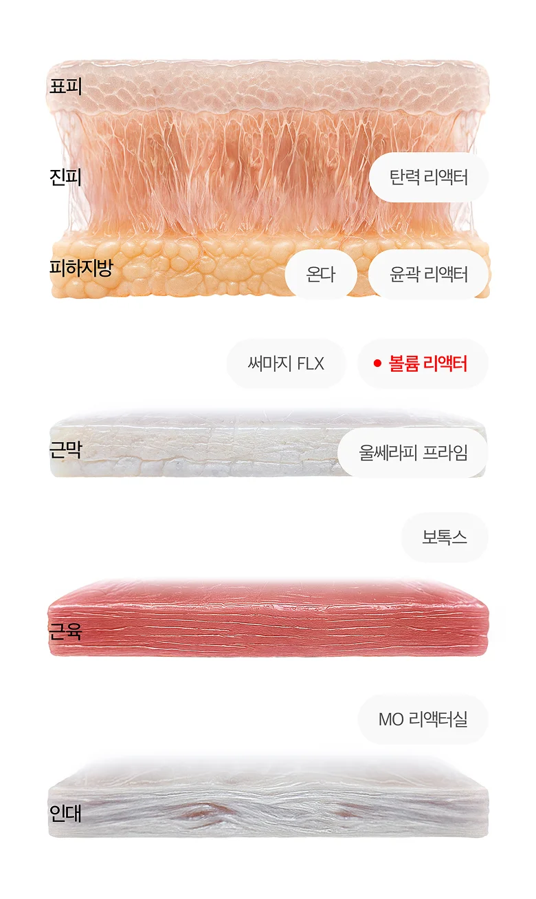 皮膚断面図